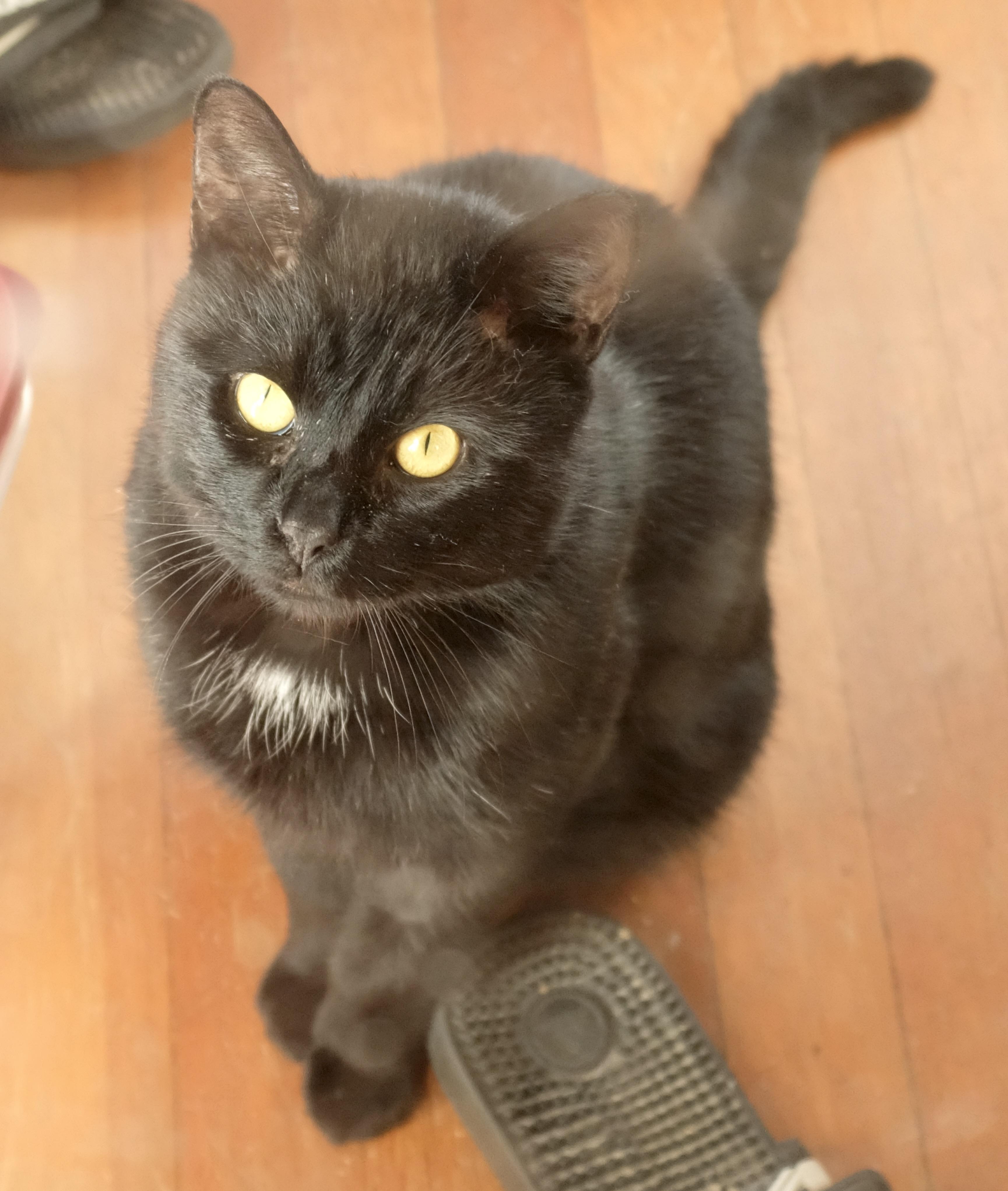 Sprocket — thumbnail 3