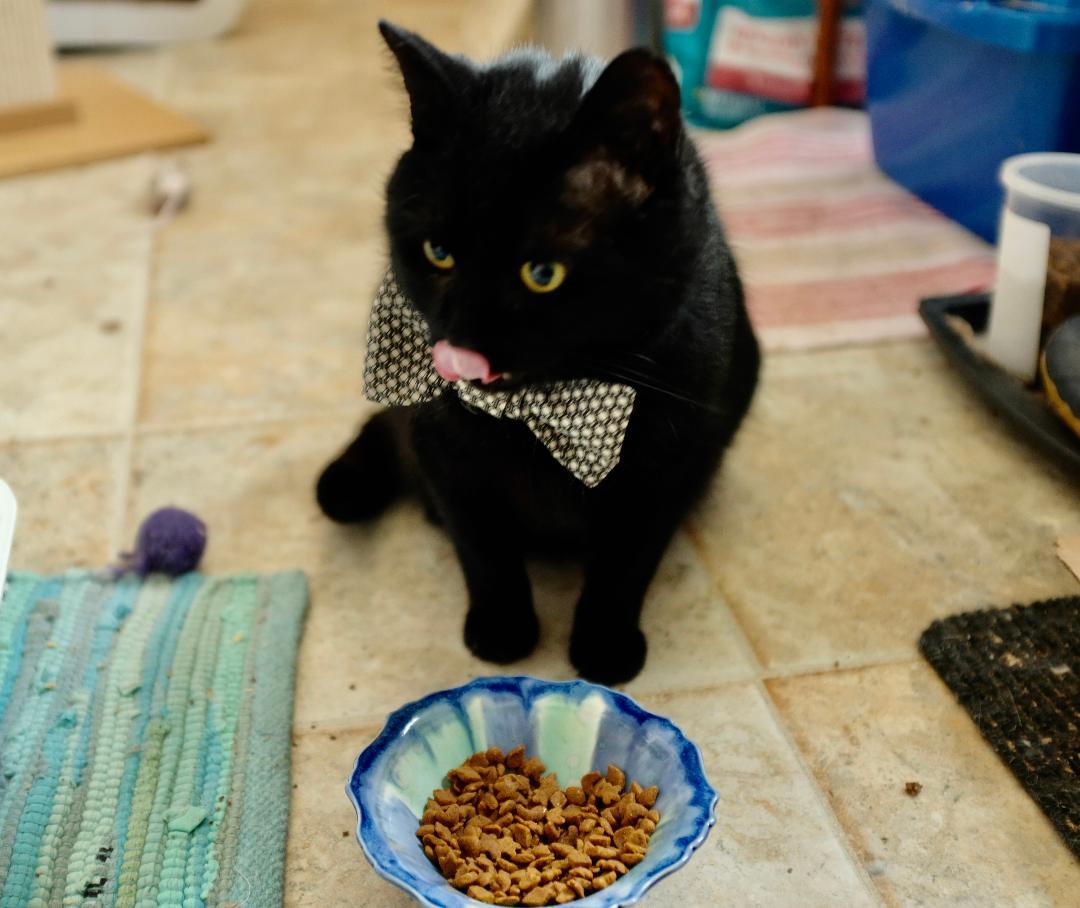 Sprocket — thumbnail 4