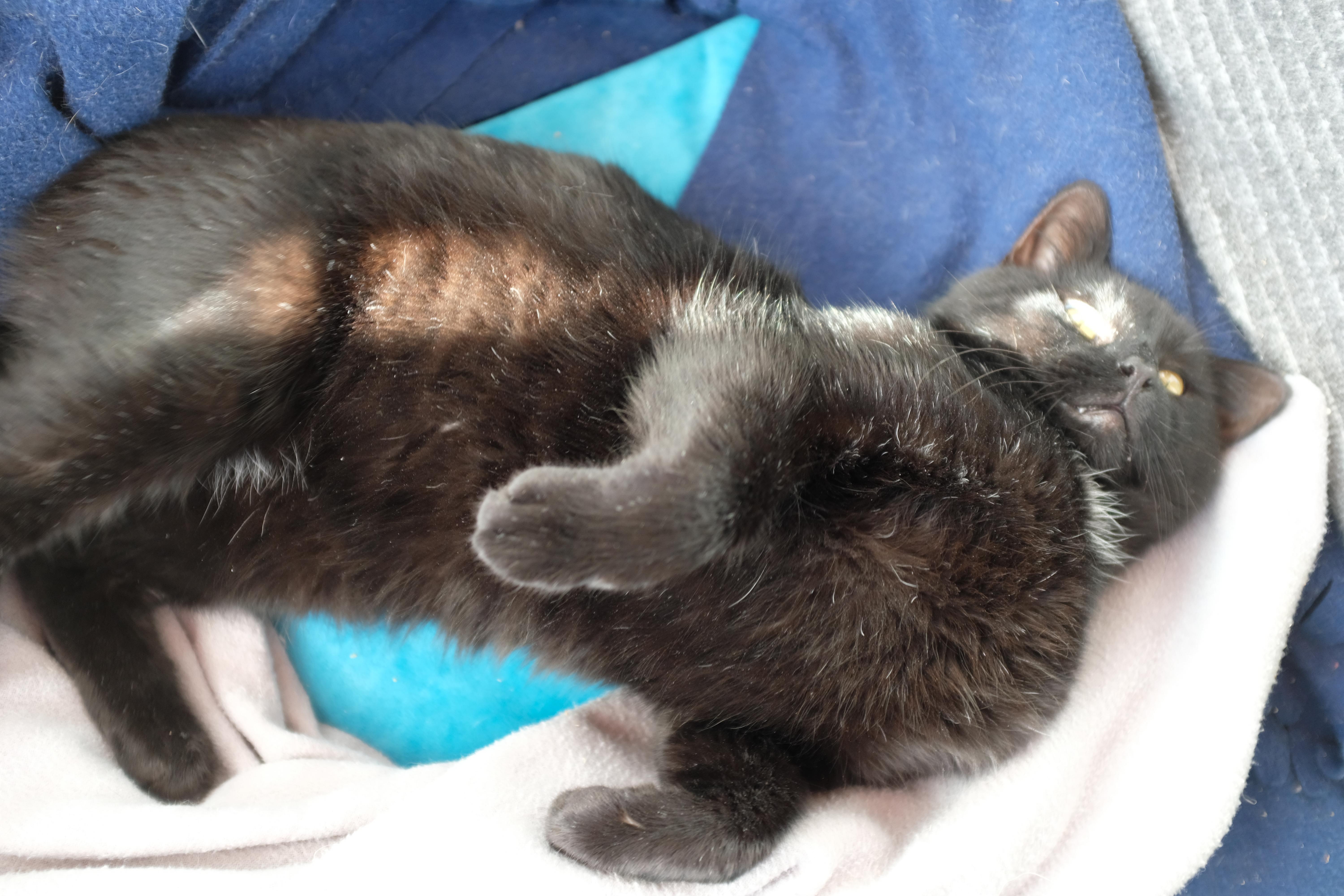 Sprocket — thumbnail 5