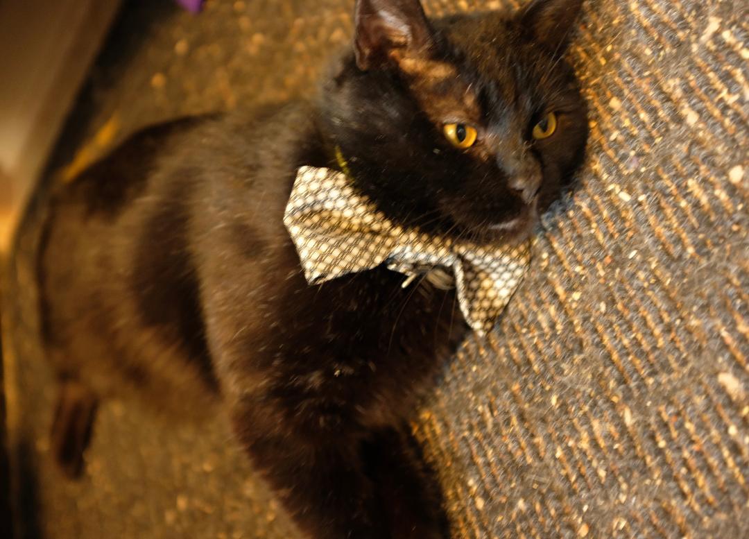 Sprocket — thumbnail 6