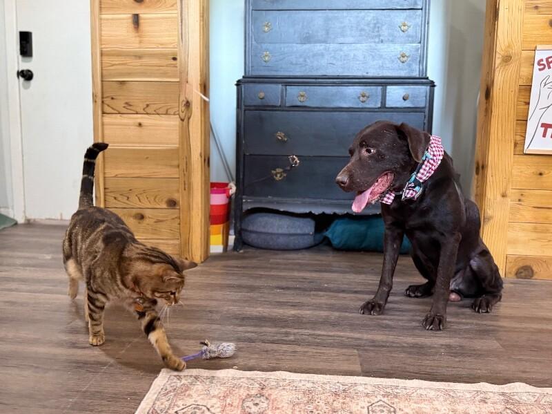 Finn is the sweet spot 2