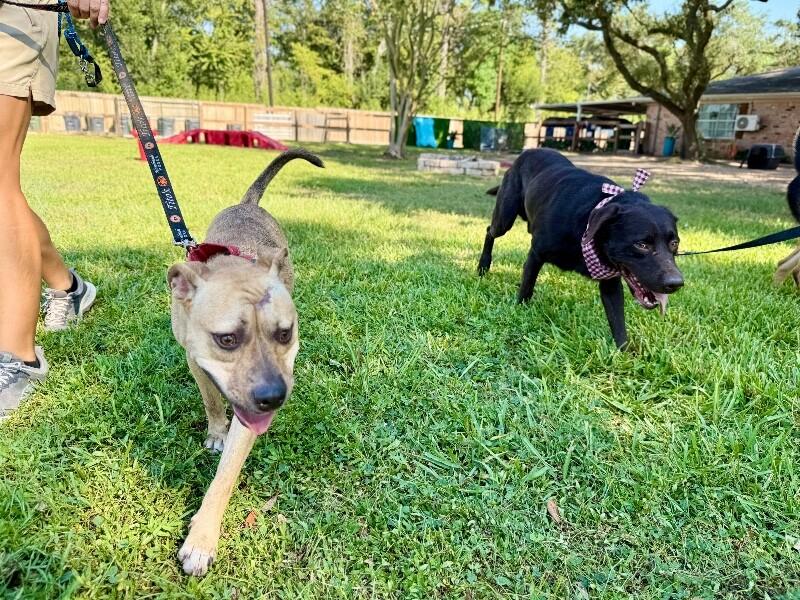 Finn is the sweet spot 3