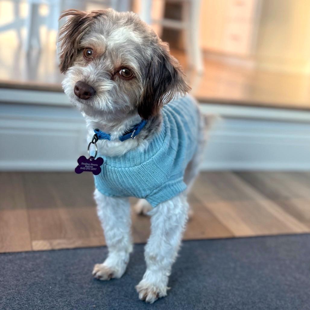 Valiente thumbnail 2