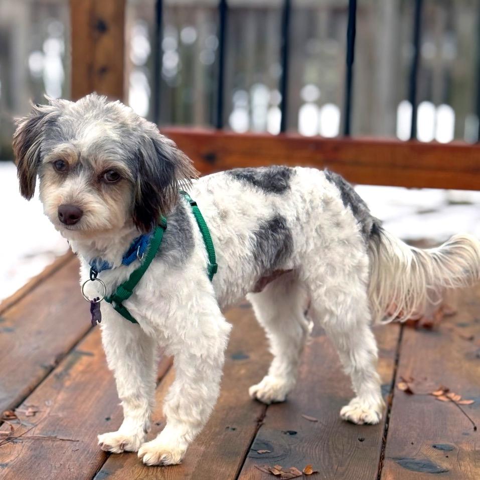 Valiente thumbnail 3