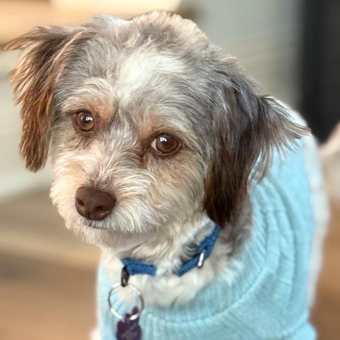 Valiente thumbnail 4