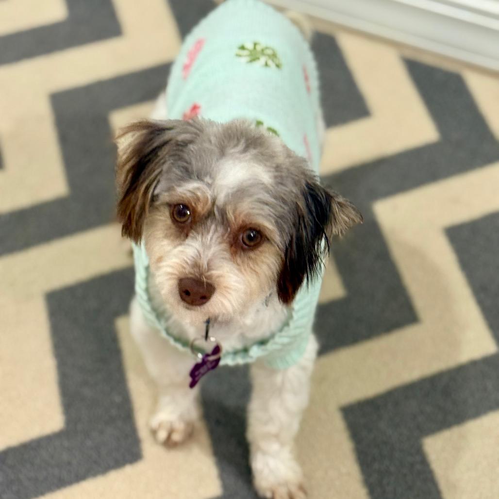 Valiente thumbnail 6