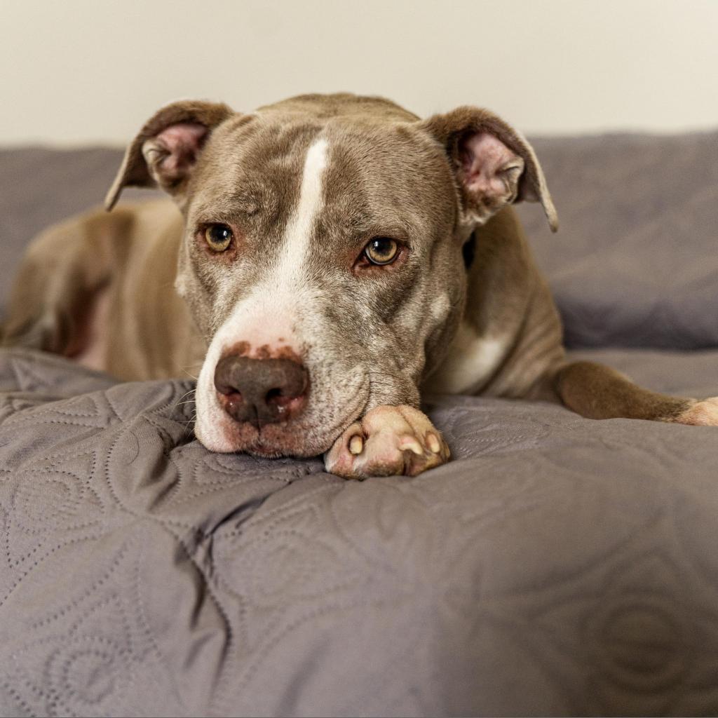 Mama Tylee — thumbnail 2