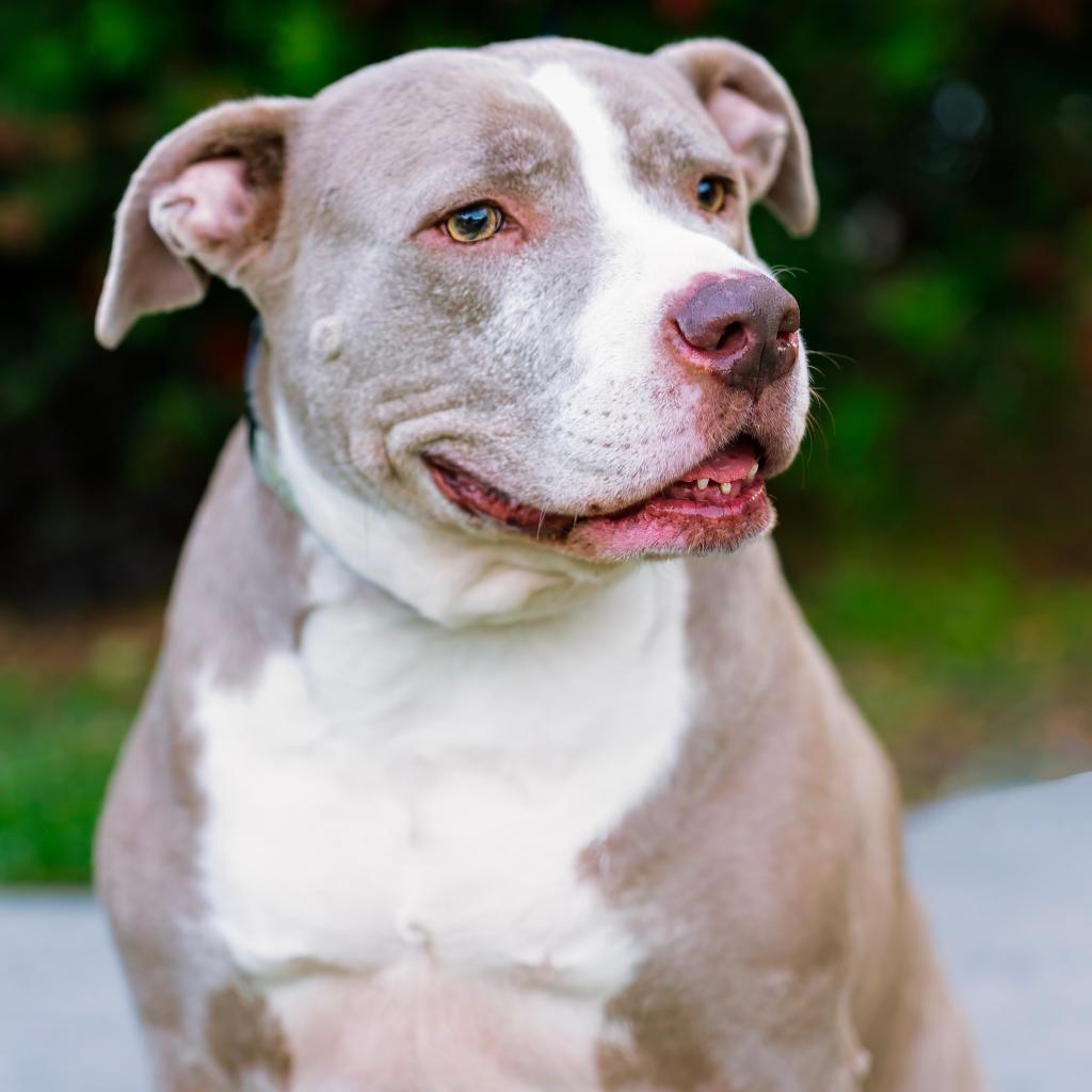 Mama Tylee — thumbnail 3