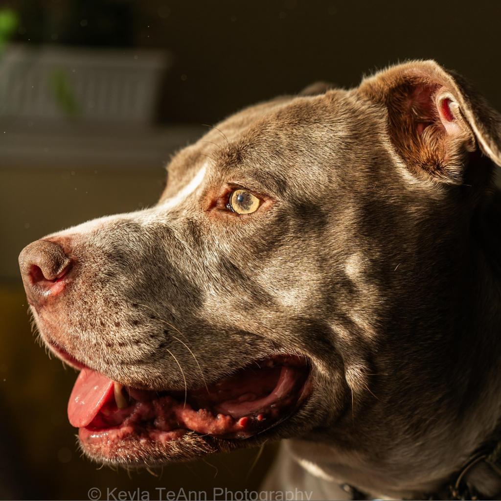 Mama Tylee — thumbnail 4