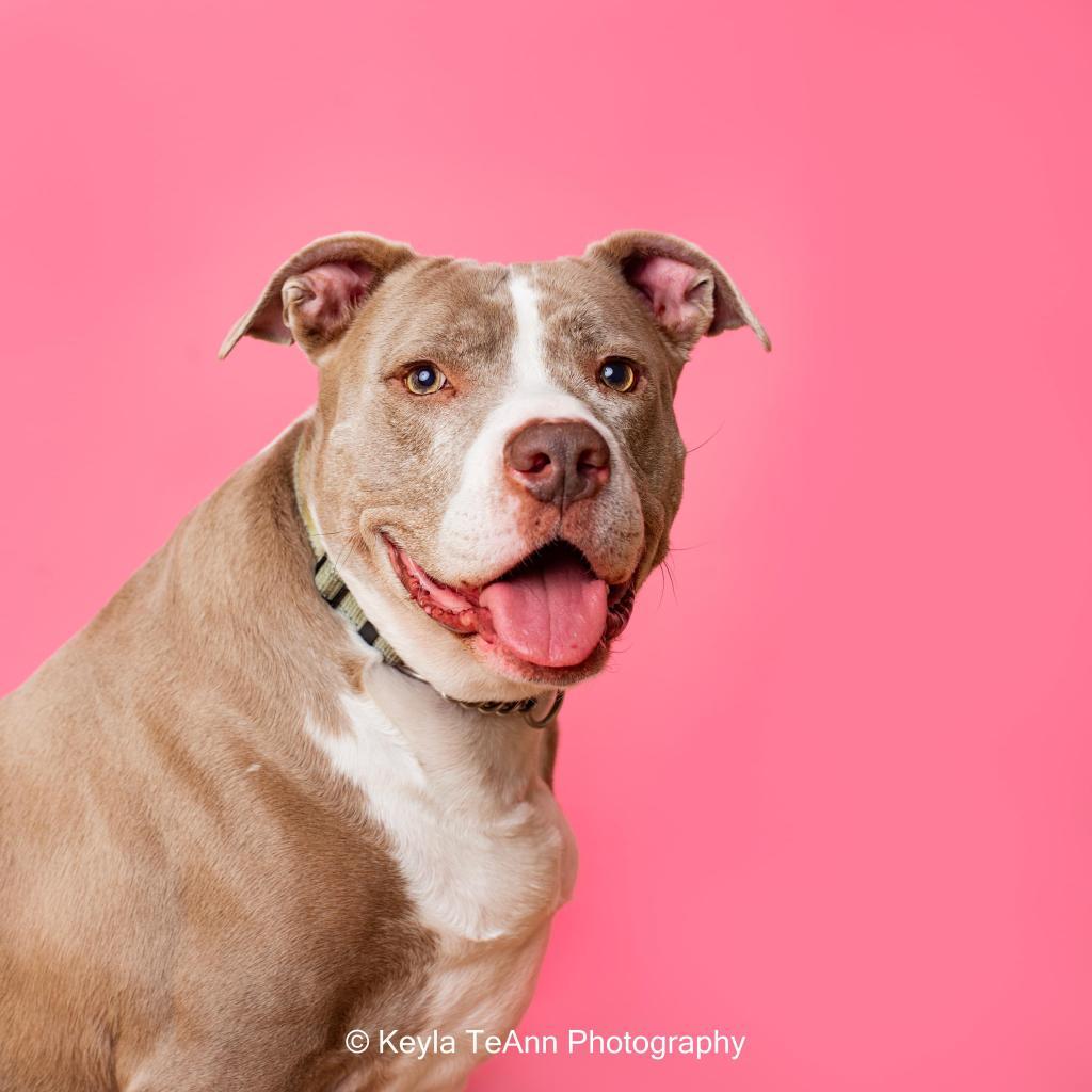 Mama Tylee — thumbnail 5