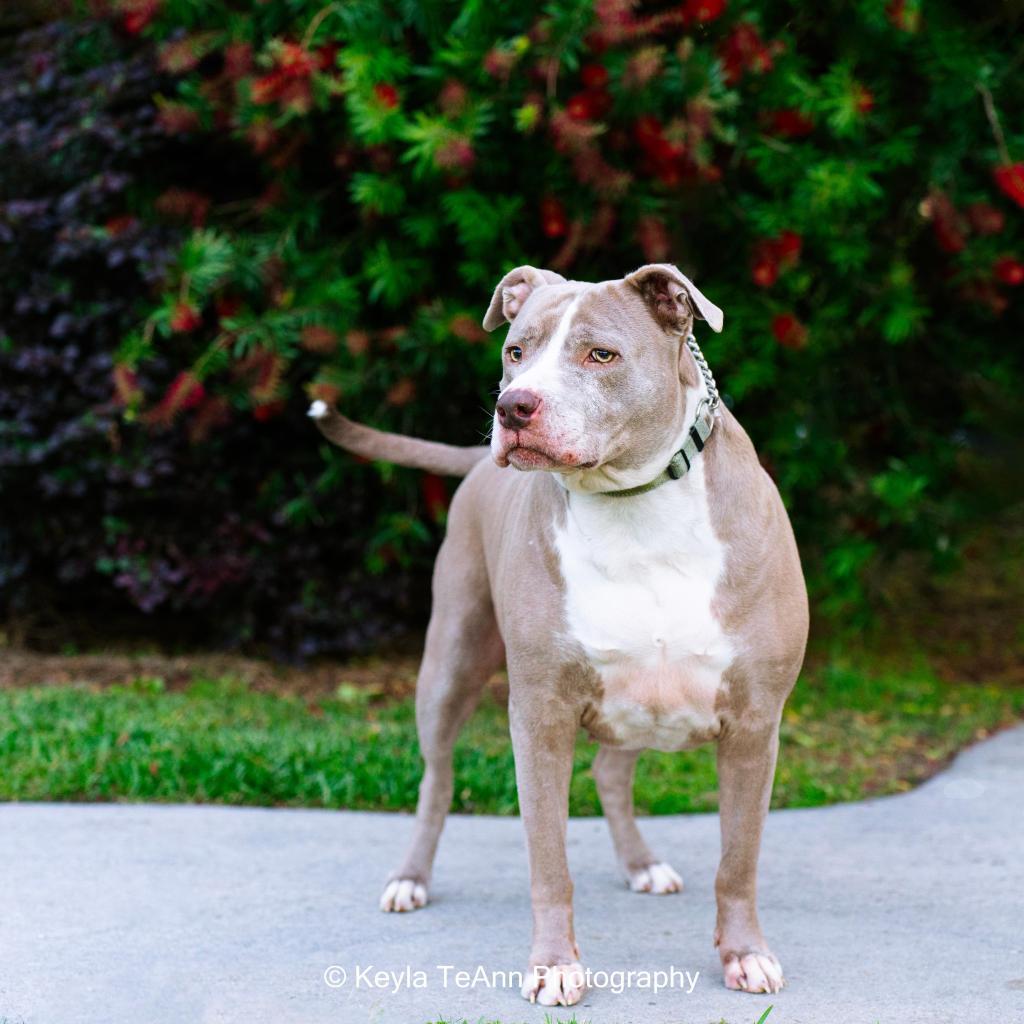 Mama Tylee — thumbnail 6