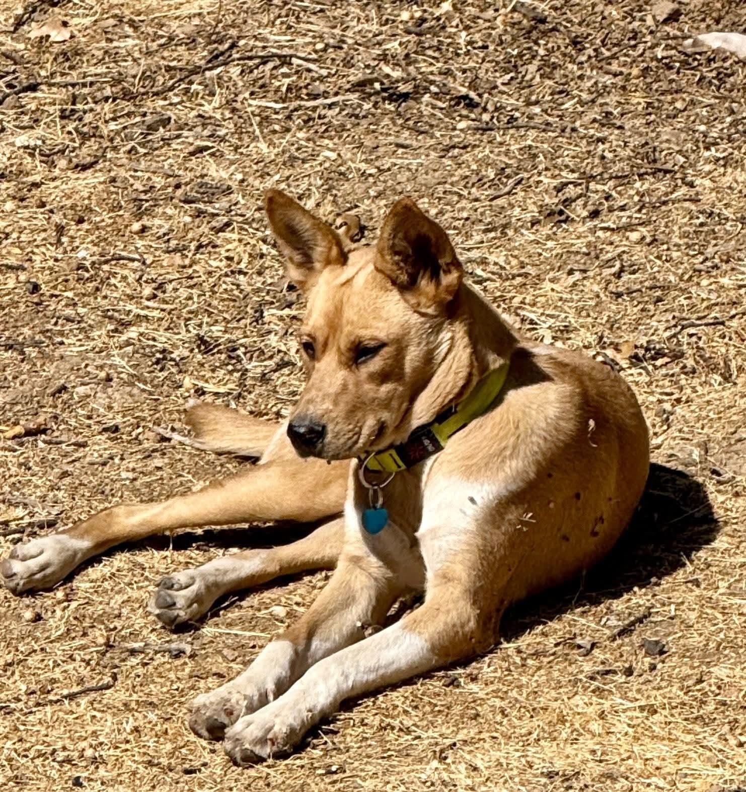 Charlene Darling thumbnail 6