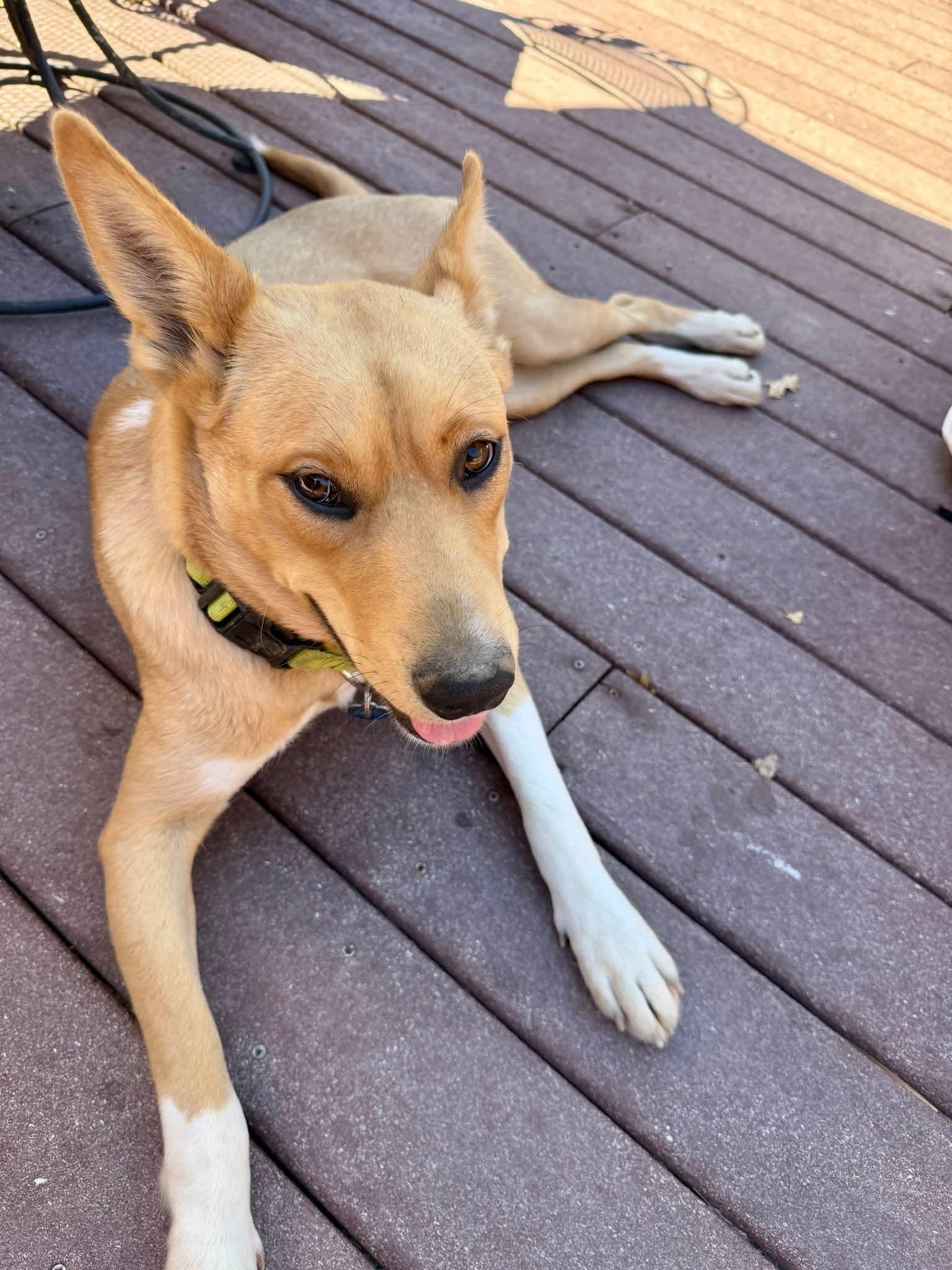 Charlene Darling thumbnail 2