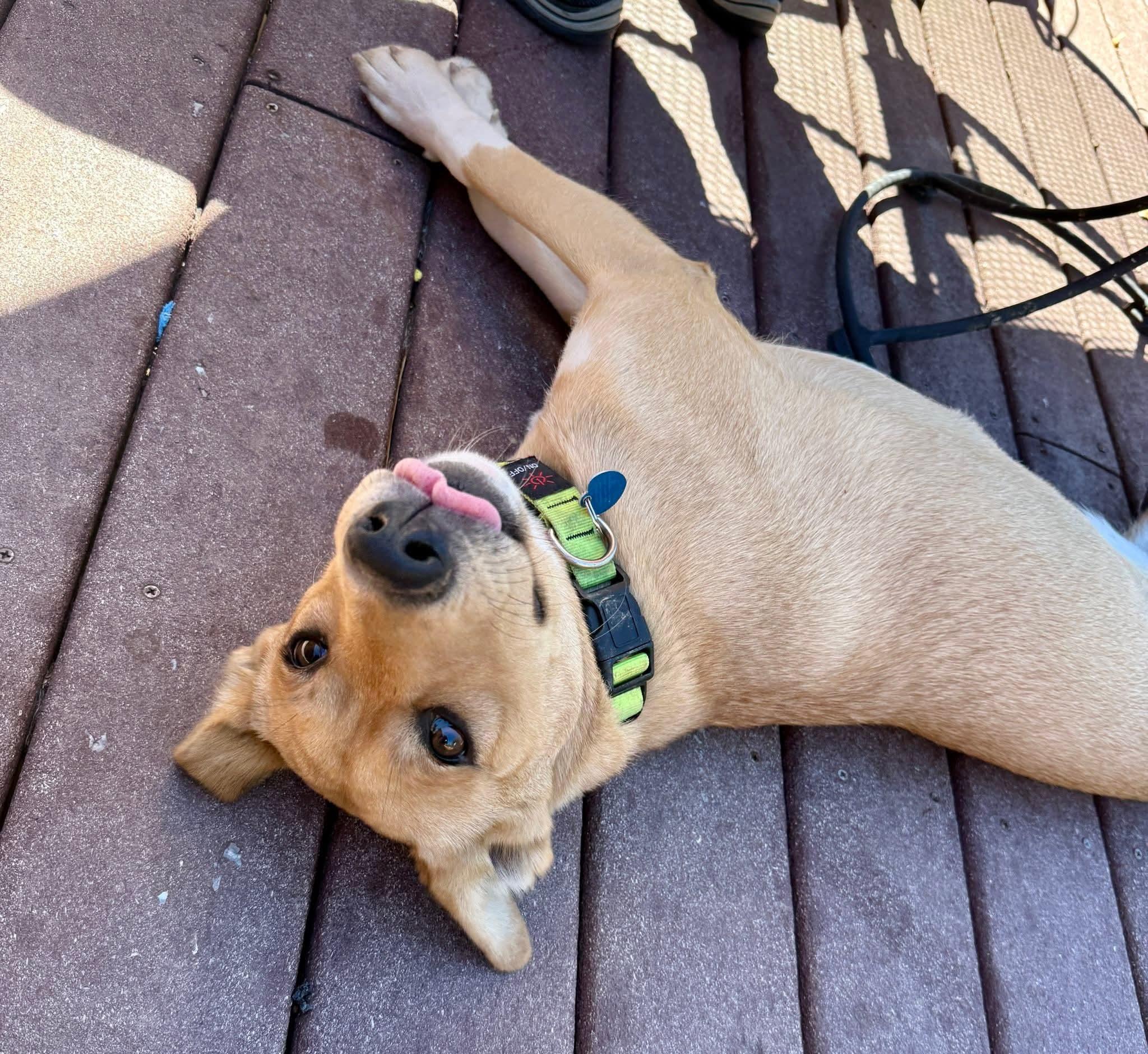 Charlene Darling thumbnail 3