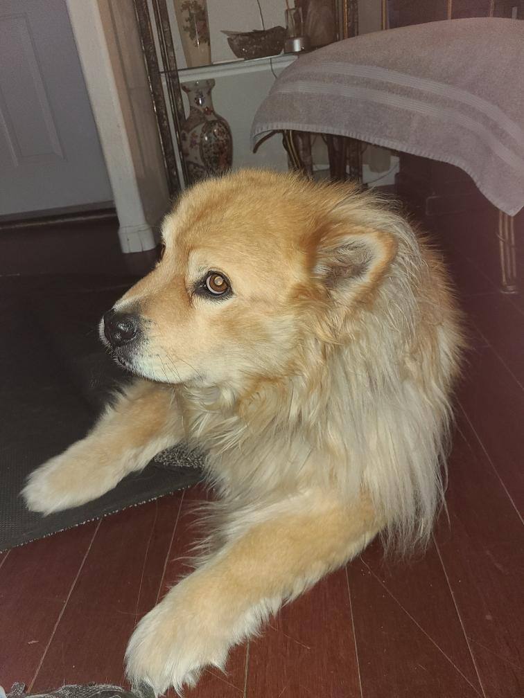 Max