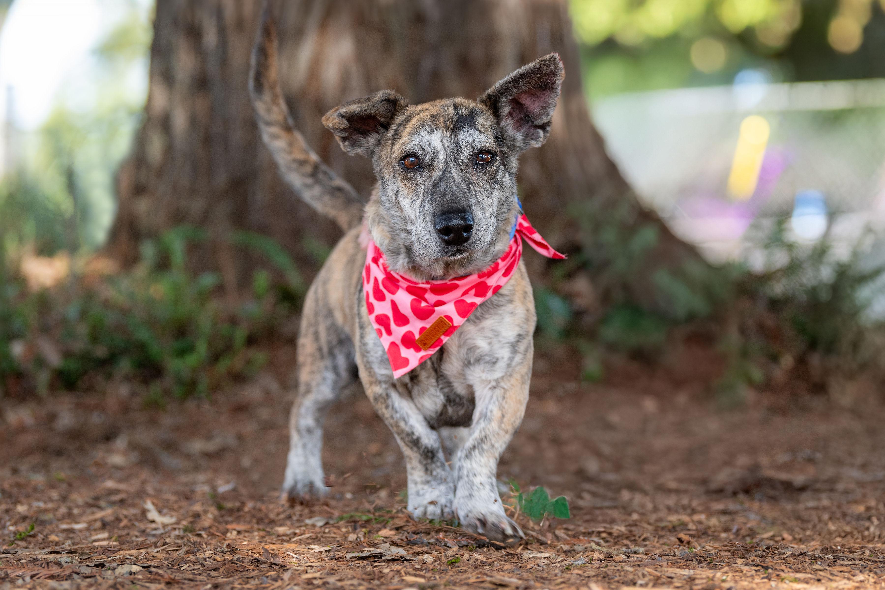 Toast — thumbnail 4