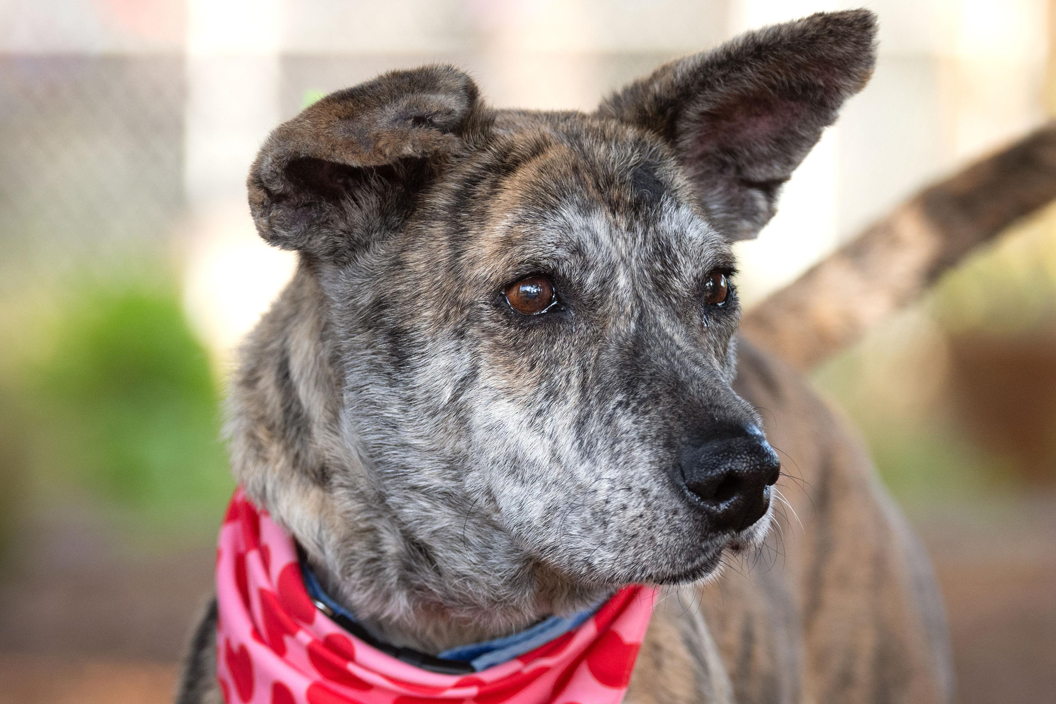 Toast — thumbnail 5