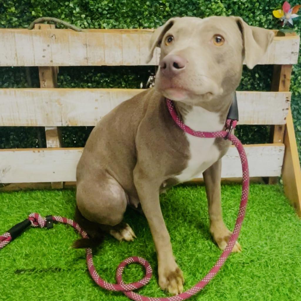 Crop Top — thumbnail 2