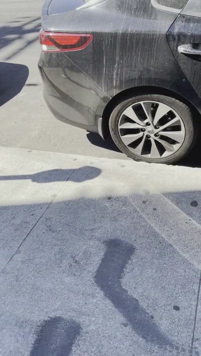 Enlarge PHOENIX, a Adopted mixed breed in Studio City, CA video 3/4