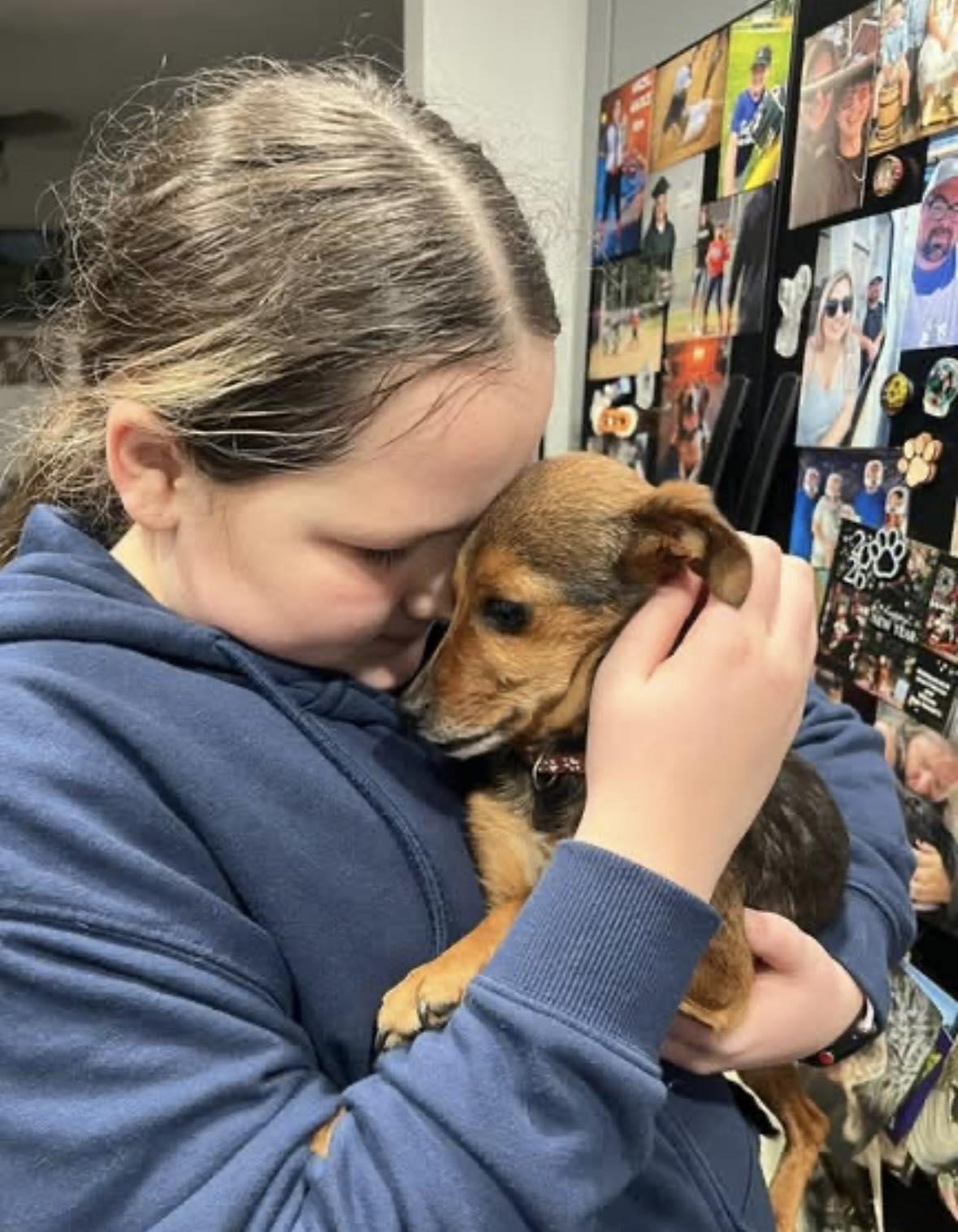 Enlarge Avacado, a ADOPTABLE mixed breed in Yorktown, VA image 5/6