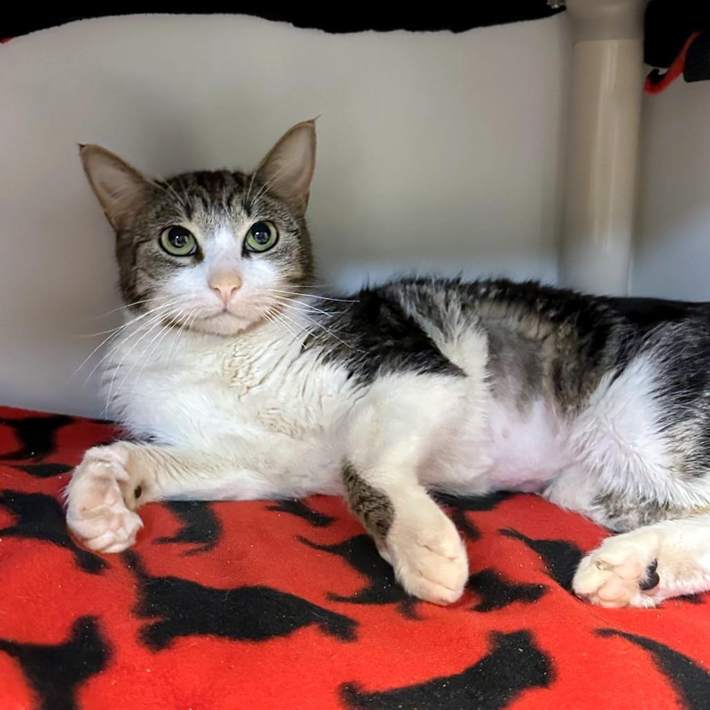 Margo — thumbnail 3