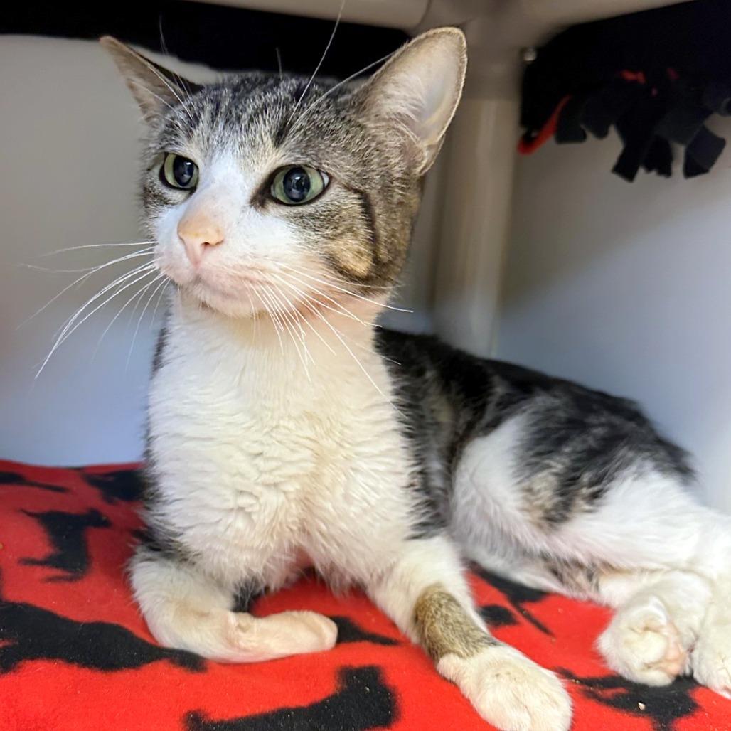 Margo — thumbnail 4