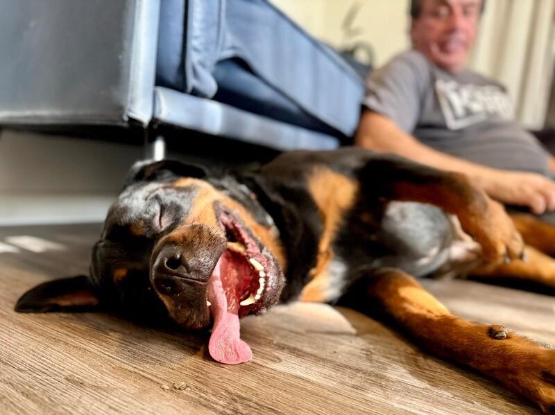 Raja Beefcake and Prayera — thumbnail 2