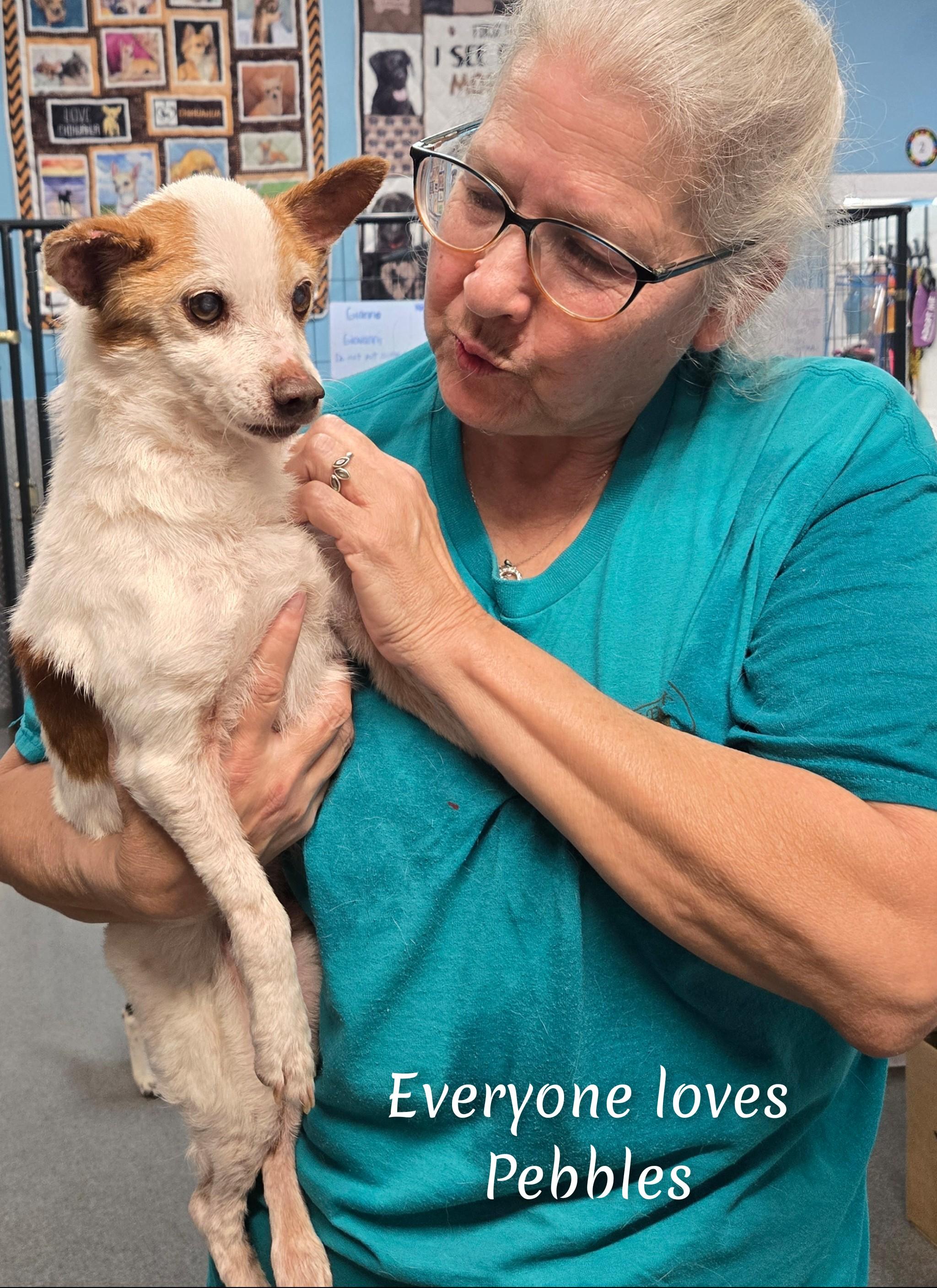 Enlarge Pebbles, an adopted Mixed Breed in Fredericksburg, VA image 2/6