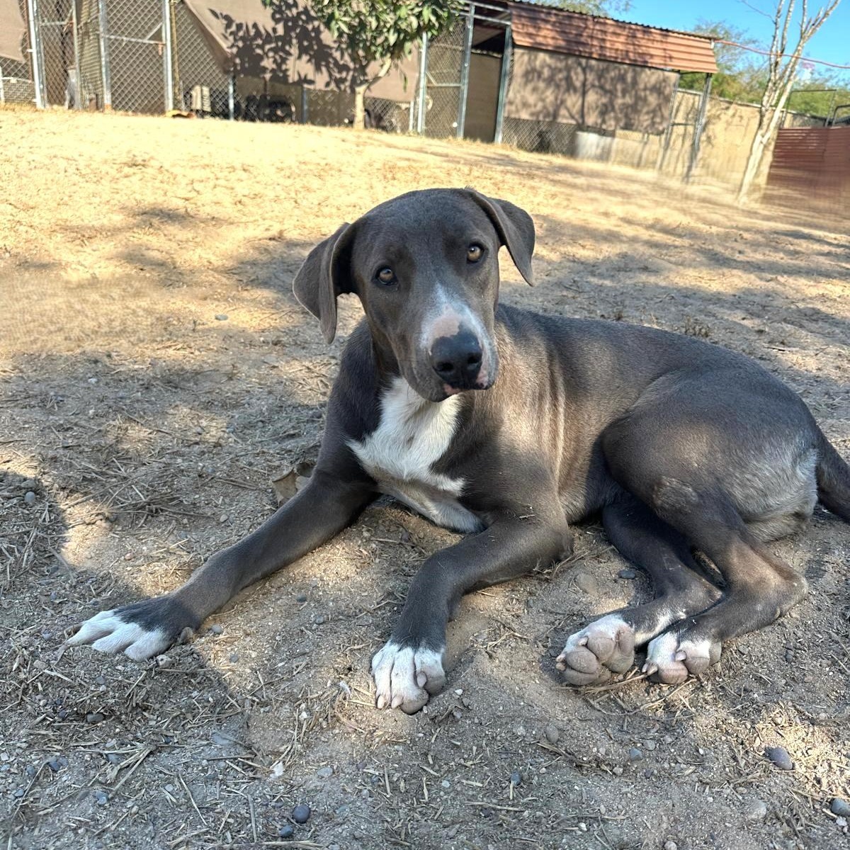 Dori, Young Female unknown