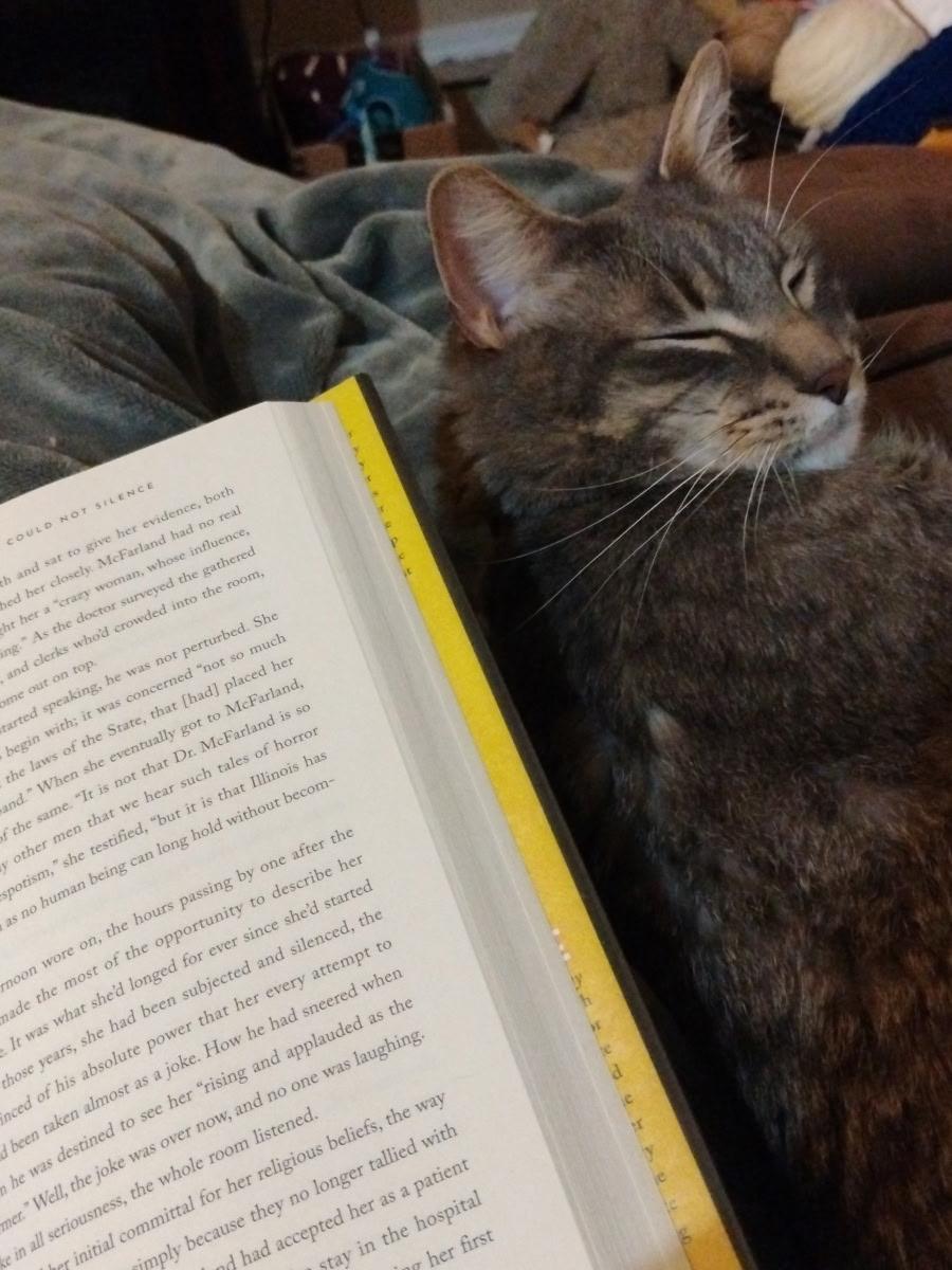 Enlarge Anakin, a Adoptable mixed breed in Kamloops, BC image 4/6