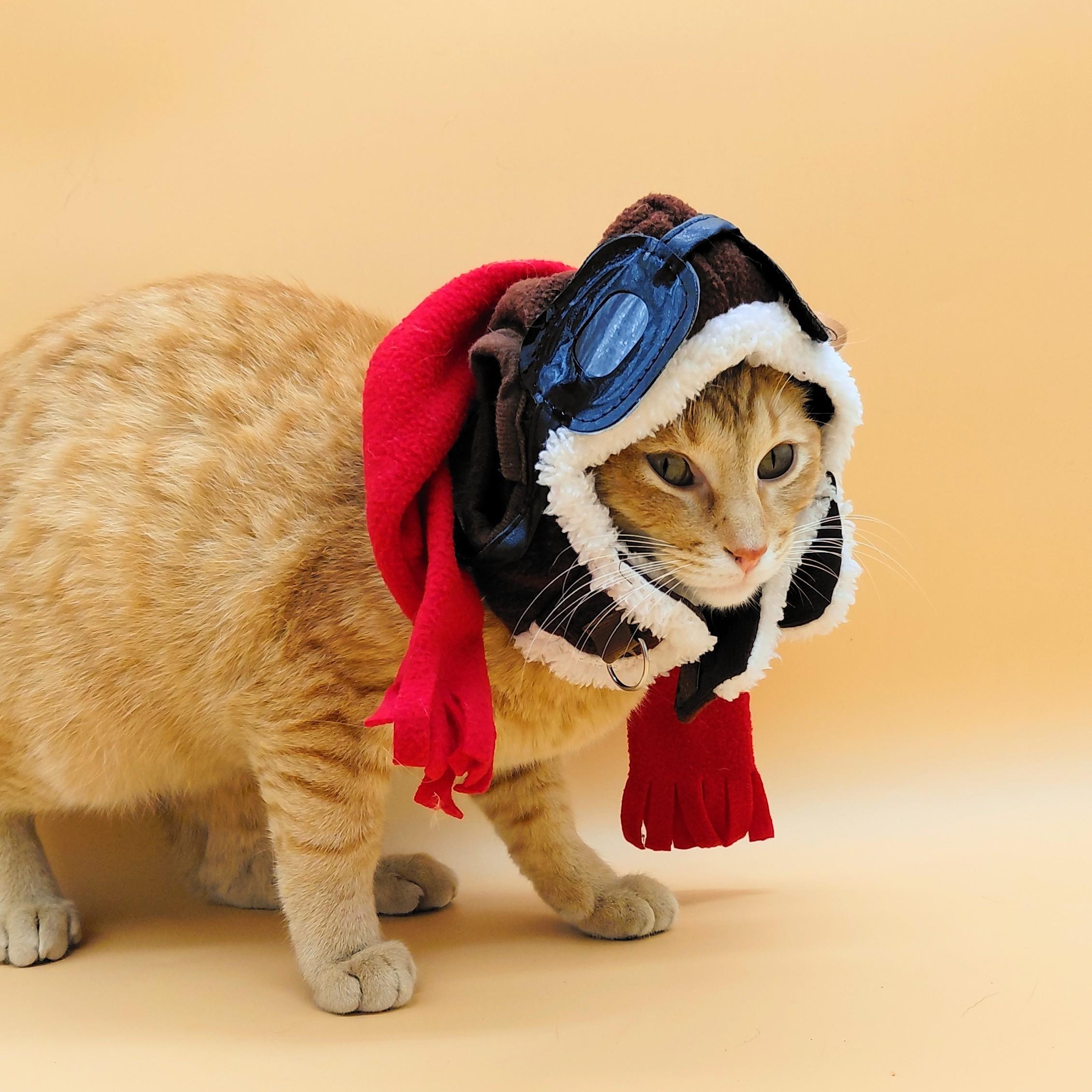 Rakkaus — thumbnail 2