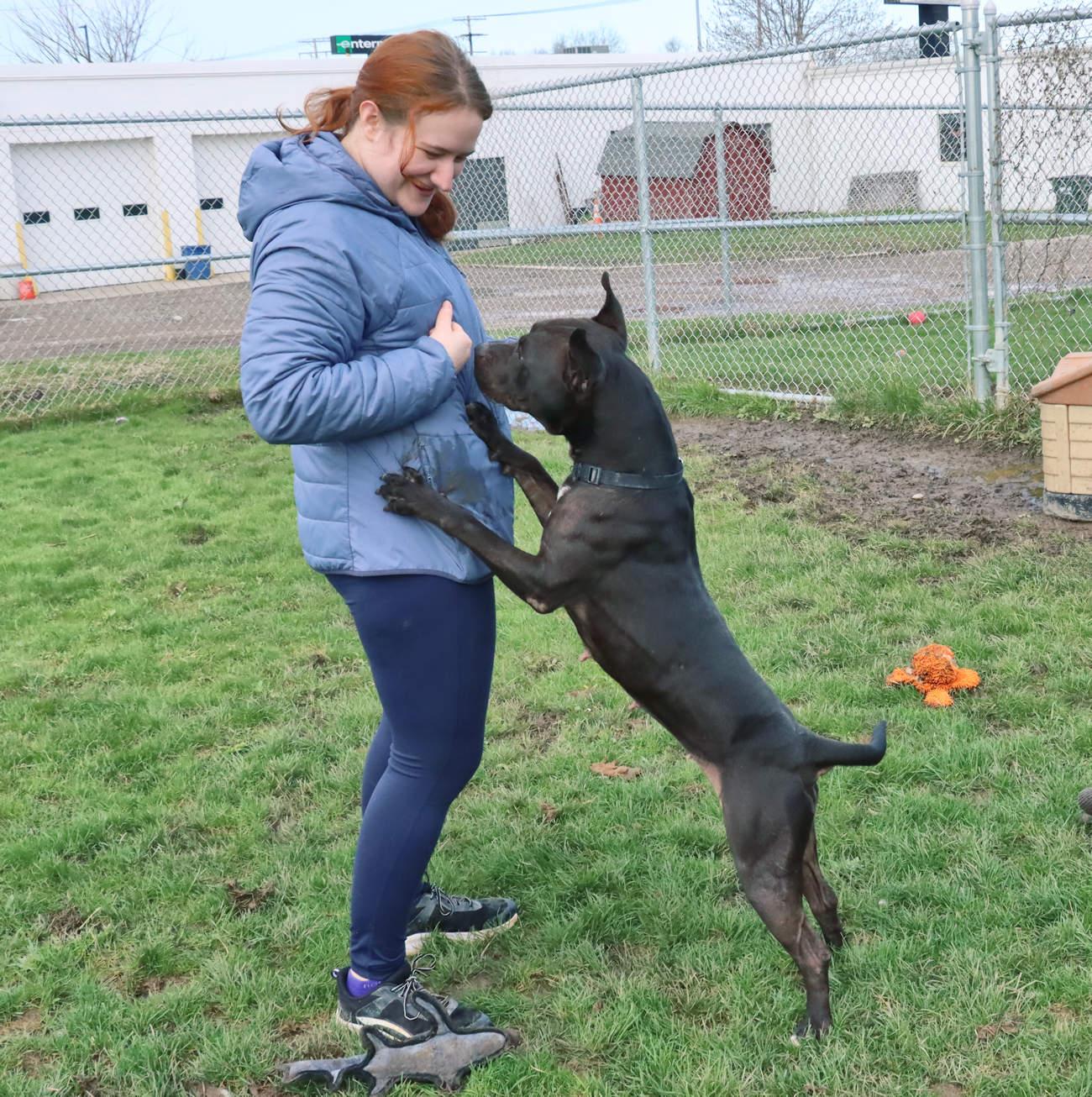 Cherry, a Adoptable mixed breed in Euclid, OH image 2/6