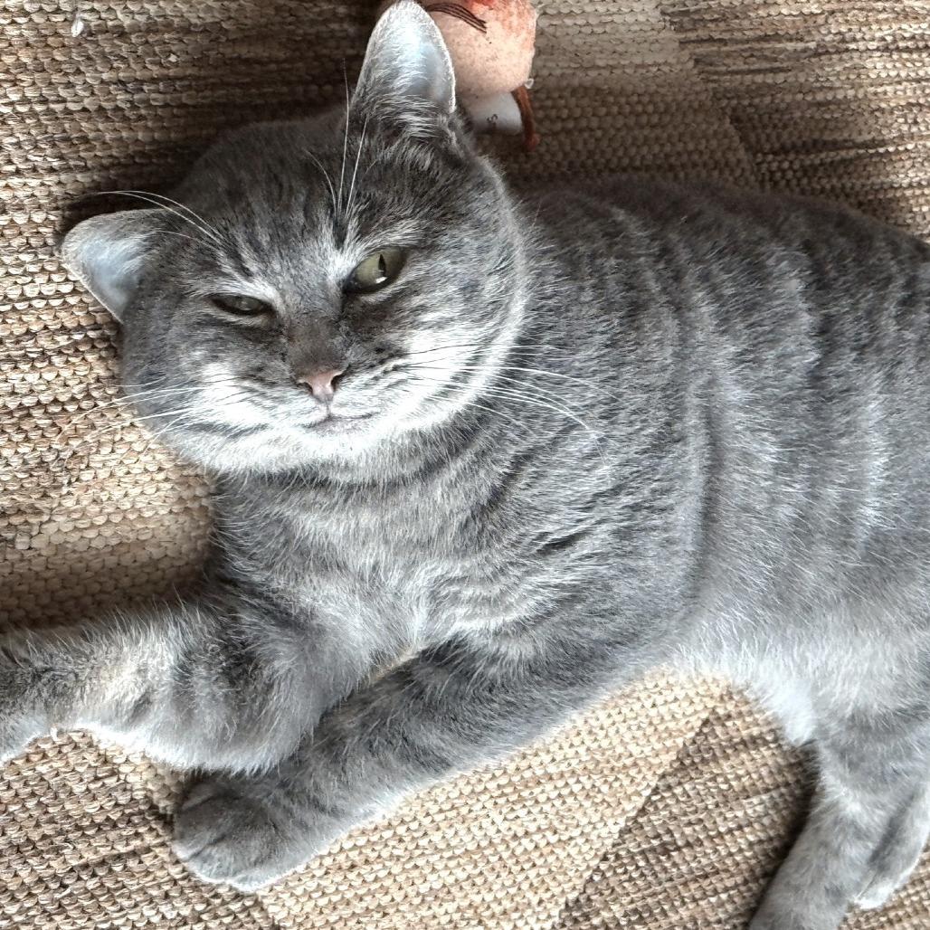 John Mayer — thumbnail 4