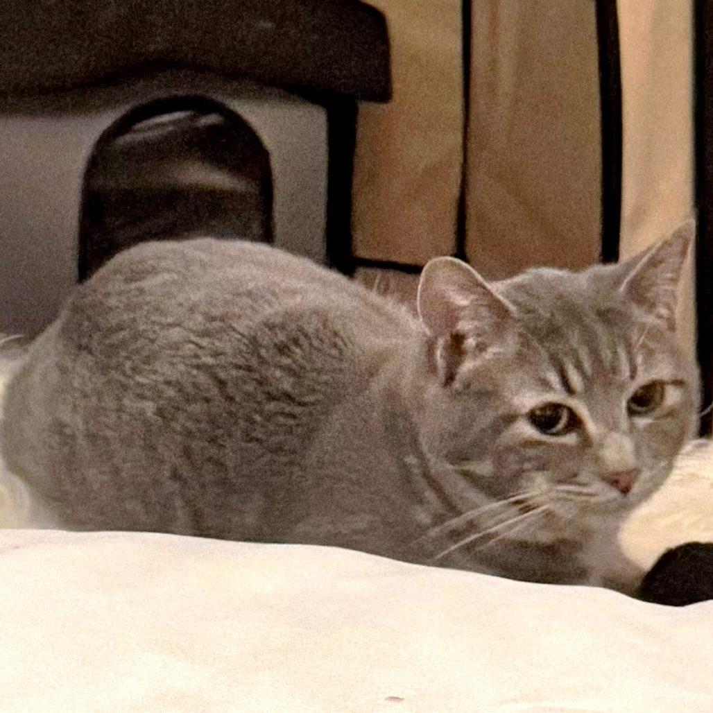 John Mayer — thumbnail 6