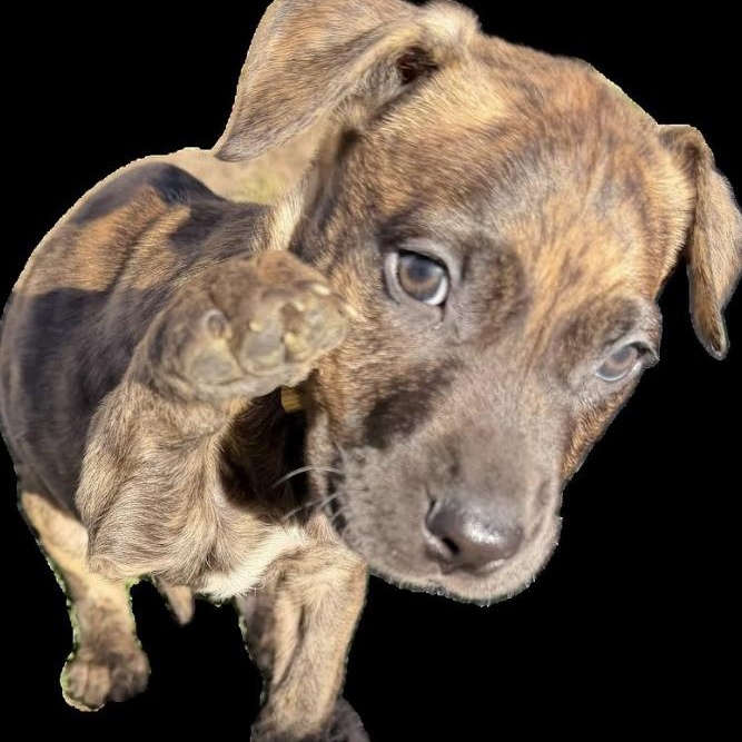 Links — thumbnail 2