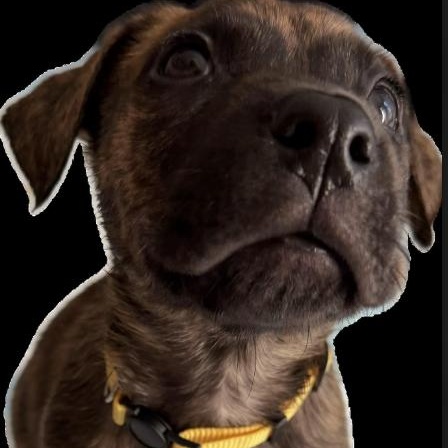 Links — thumbnail 3