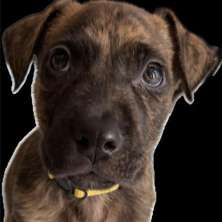 Links — thumbnail 4