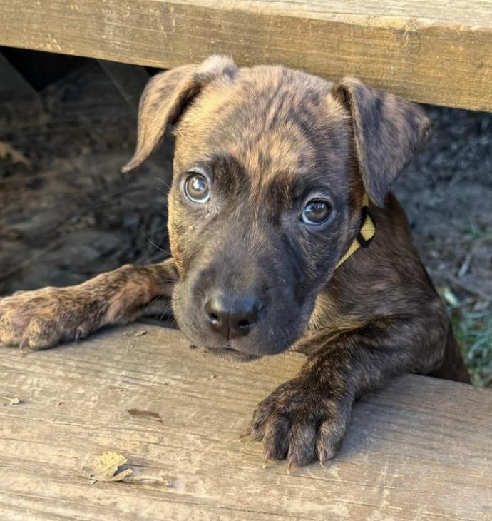 Links — thumbnail 5