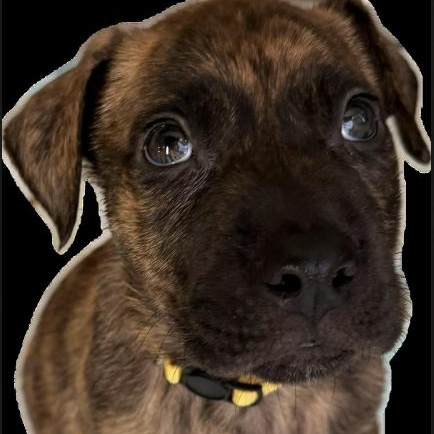 Links — thumbnail 6