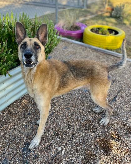 Darla Jean — thumbnail 2