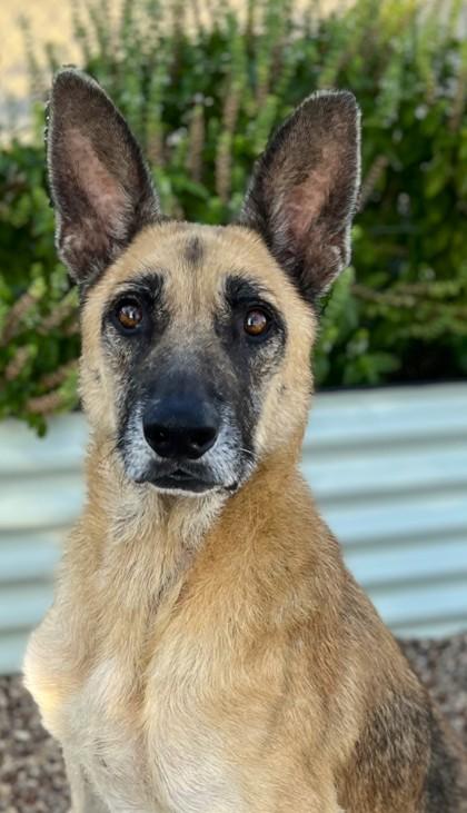 Darla Jean — thumbnail 3