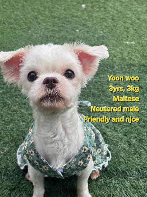 YOONWOO
