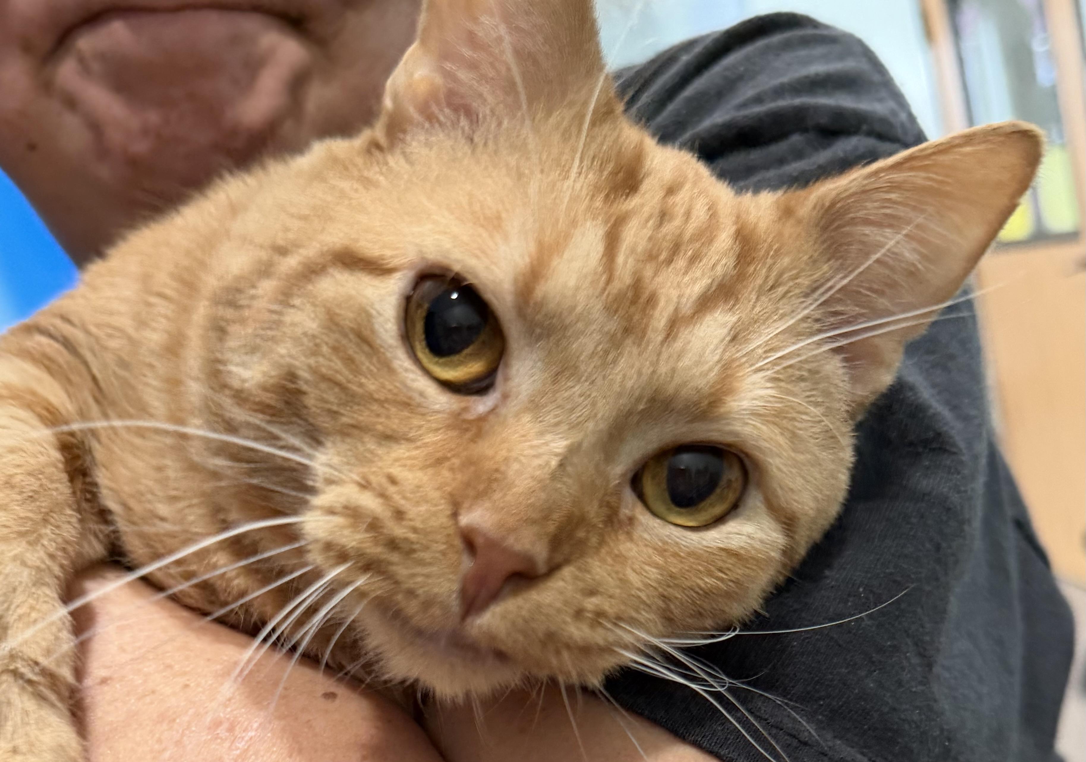 Brother — thumbnail 2