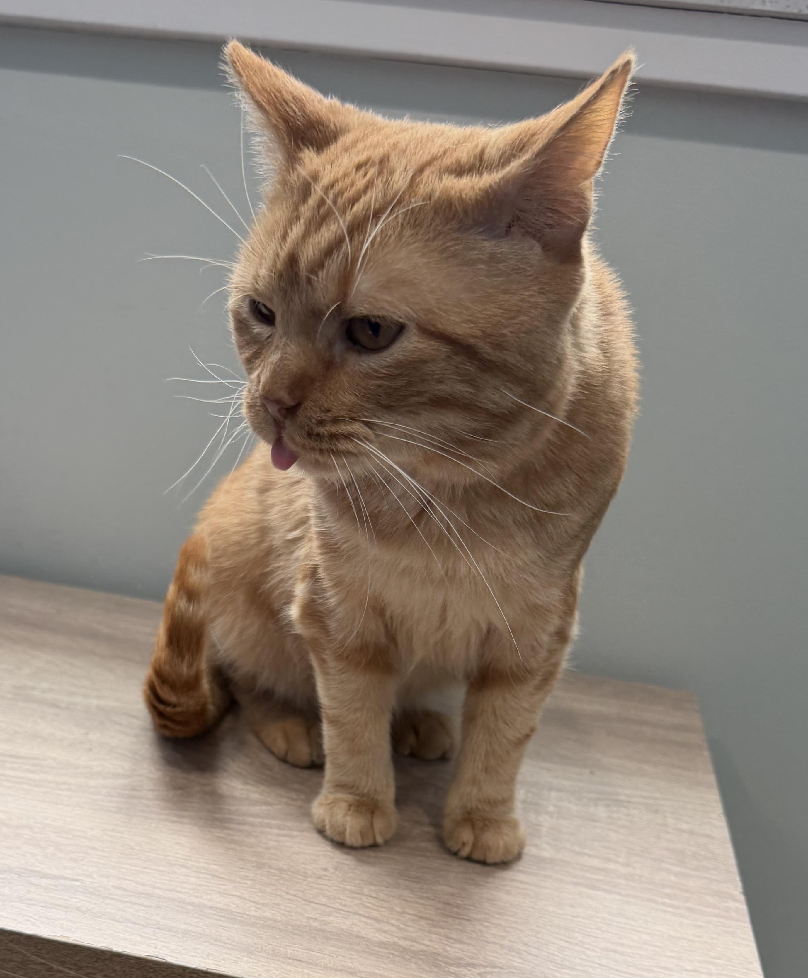 Brother — thumbnail 3