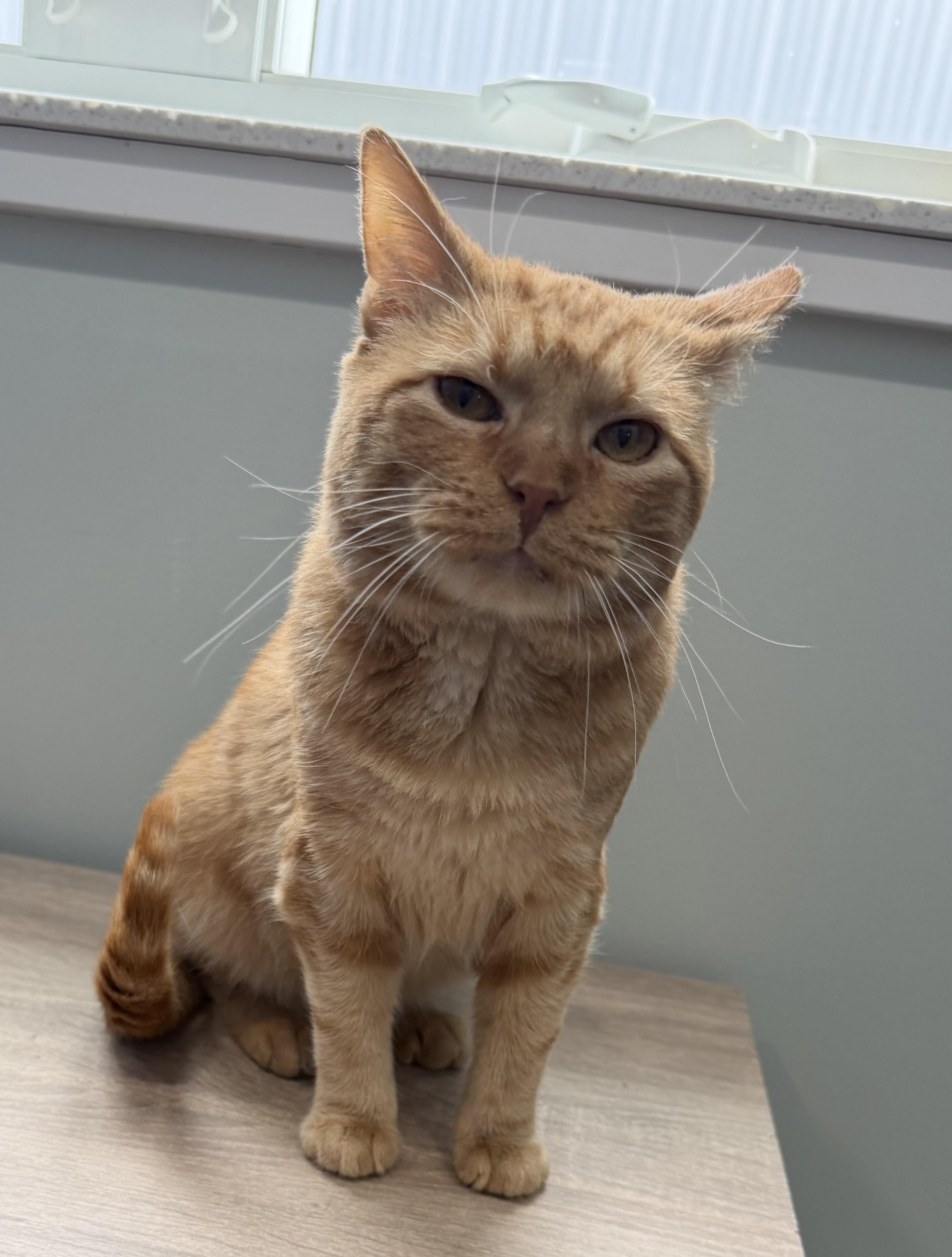 Brother — thumbnail 4