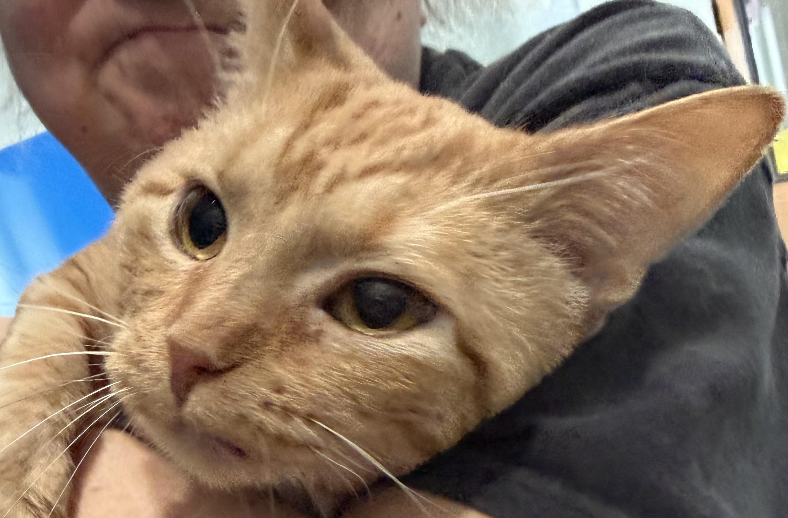 Brother — thumbnail 5