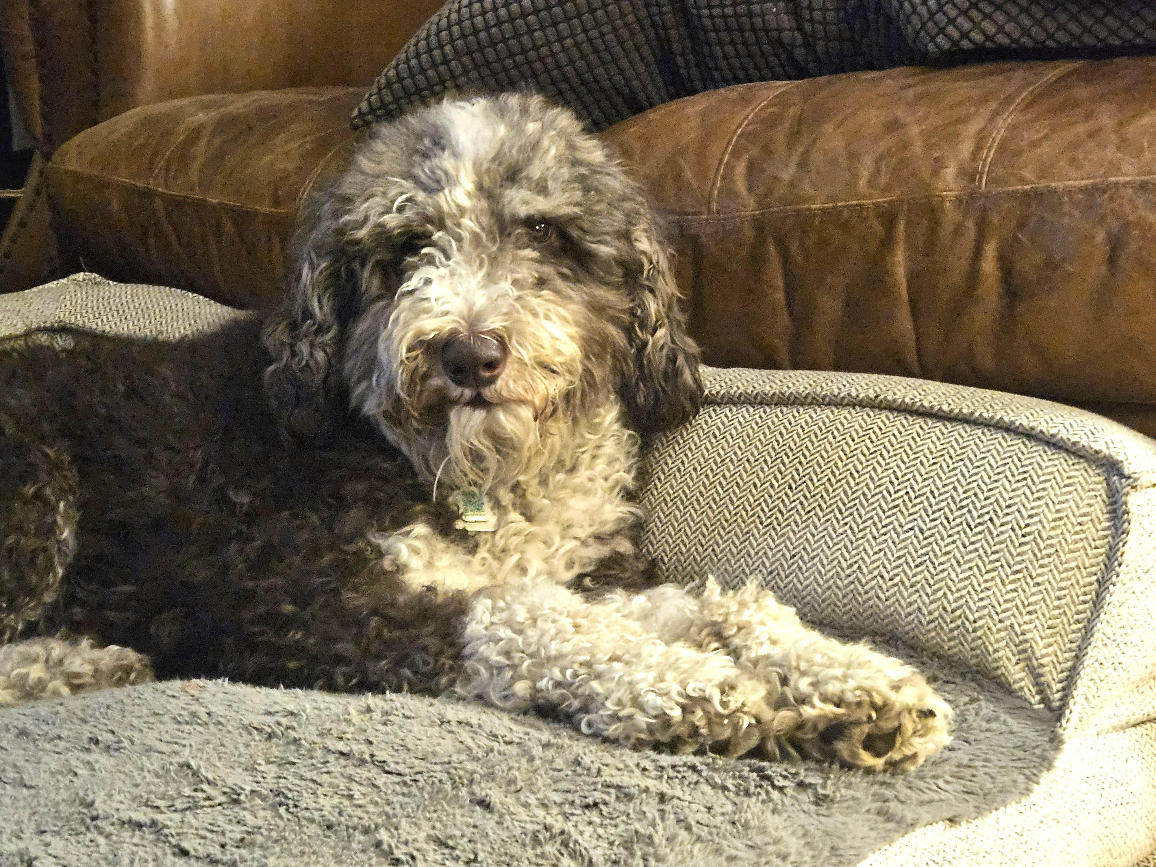 Oakley