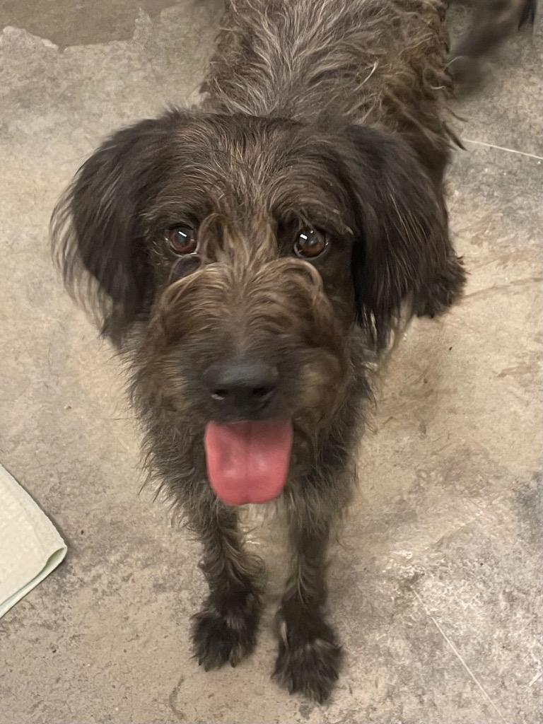 Cordelia thumbnail 2