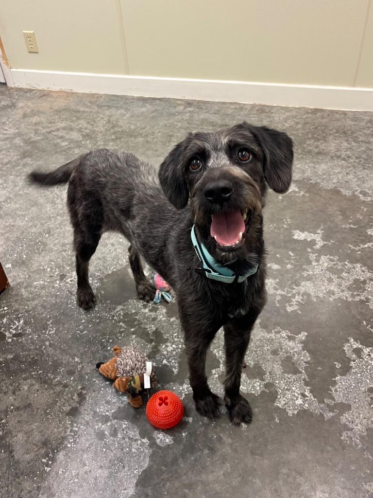 Cordelia thumbnail 5