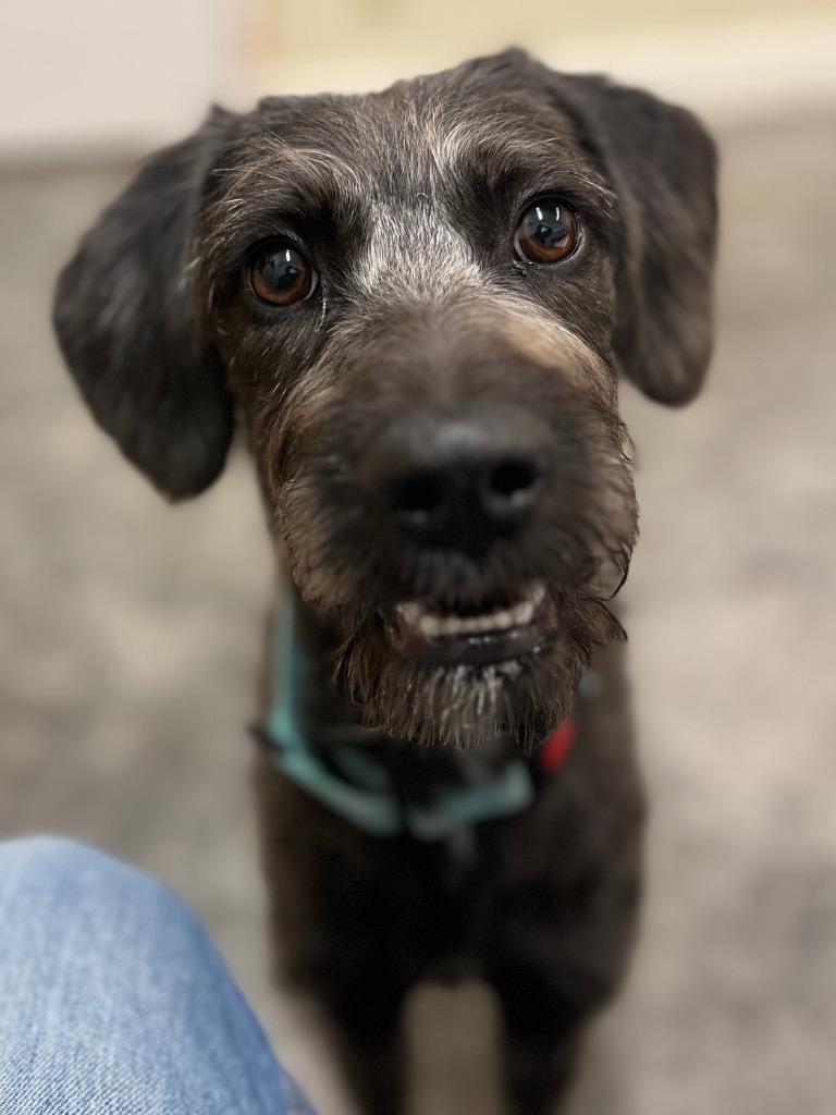 Cordelia thumbnail 6